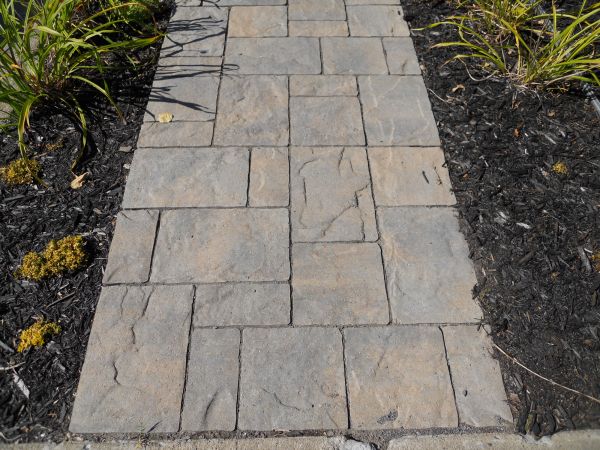 Stamped Concrete Staining in Ventura